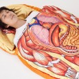 Un sac de couchage qui met vos tripes à l’air Envie de frimer au camping tout en exhibant votre anatomie la plus profonde ? Ce sac de couchage est fait pour vous !