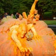 Halloween arrive à grands pas, et si cette fête des morts reste timidement fêtée en France, aux USA il s’agit d’une véritable institution à l’occasion de laquelle les adeptes de...