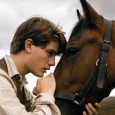 &nbsp; Cheval de Guerre raconte la formidable et touchante histoire d’amitié entre Albert, un jeune garçon, et son cheval Joey. Vendu à la cavalerie britannique au début de la première...