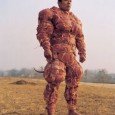 Bon, visiblement, une nouvelle mode un peu glauque arrive chez certains geeks fanas de bacon. Faire des cosplays c’est bien. Faire des cosplays réussis, c’est mieux (et ça évite d’être...