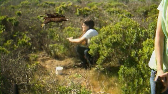 La mort sans aucune dignité...